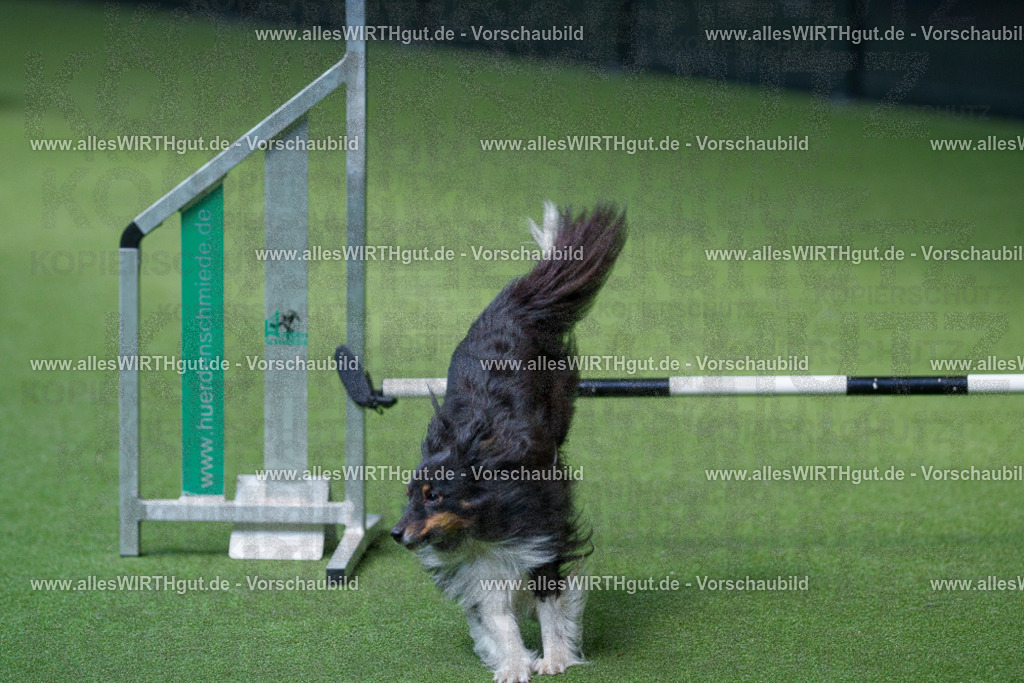 @allesWIRTHgut_Tierfotografie - www.allesWIRTHgut.de - 2604251404-7R504653 | Professionelle Tierfotografie in Mönchengladbach von Daniel Wirth (allesWIRTHgut). Liebevolle & natürliche Bilder von Hunden & Katzen für unvergessliche Erinnerungen.
