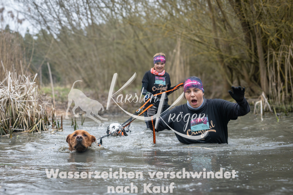 1001_ZZ94987 | kk-dogfotos