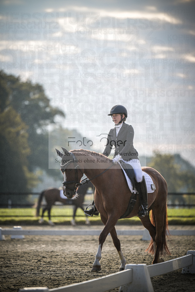 DOS_3532 | Entdecke hochwertige Reitturnierfotos von Foto Oger. Professionell, emotional und authentisch – jetzt Lieblingsmomente im Shop bestellen.Deutschlandweite Turnierfotografie. - Realisiert mit Pictrs.com