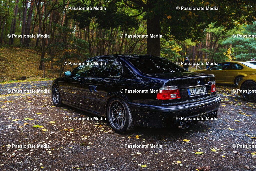 _DSC6085 | Passionate Media, dein Fotograf aus Brandenburg, Märkisch Oderland, im Bereich Motorsport, Autos und Motorräder sowie Events und auch Hunde. Shootings oder auch Eventbegleitungen können bei mir gebucht we