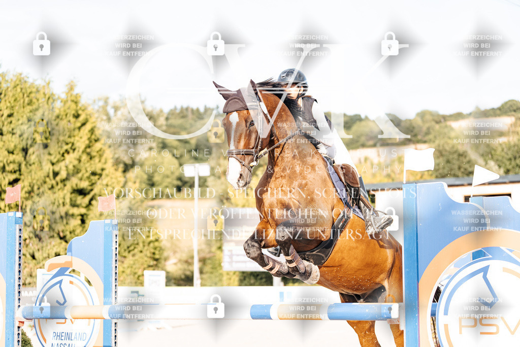 CK903344 | Turnierfotografie Pferdefotografie Trier Rheinland-Pfalz Pferdesport Reitsport Tierfotografie Sportfotografie Pferdevideo Pferdevideografie Equestrianvideography equestrianphotography  - Realisiert mit Pictrs.com