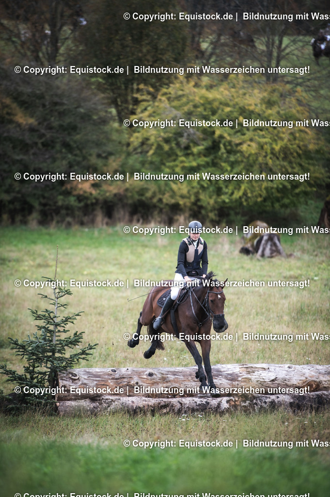 20241013_Jagd-Marbach_0317 | Foto: Thomas Hartig