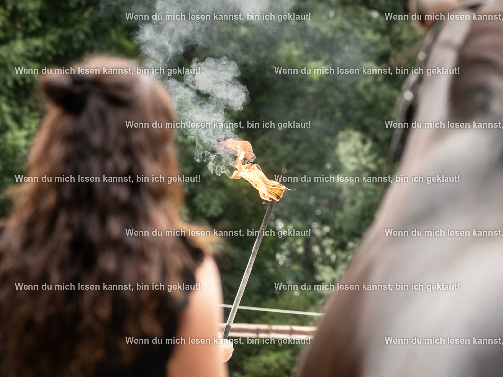 598A6011 | photographylinaismer - Realisiert mit Pictrs.com
