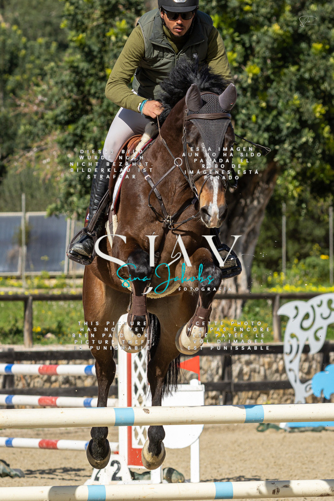 IMG_6762 | s-jay-photography - Realisiert mit Pictrs.com