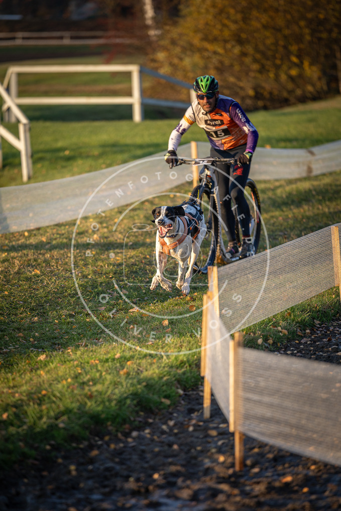 CaniXpix_DV3A9554 | Hundefotografie, Tierfotograf, Pfotenfotografie, Fotoshooting Hund, Hunde Portrait, Hundesport, Hundeportraits, Heideshooting, Hunde, Sportfotograf, Hundefotograf, Turnierhundsport, THS,  - Realisiert mit Pictrs.com