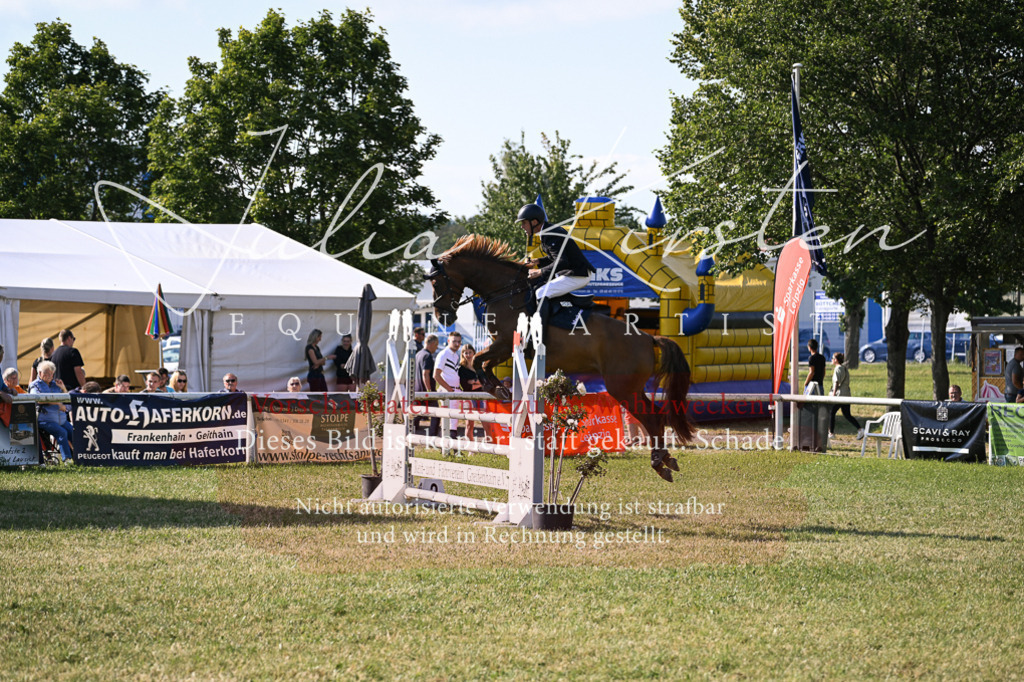DSC_1471 | Pferde- und Turnierfotografie in Westsachsen. Pferdeportraits, Auftragszeichnungen und intuitive Kunst.