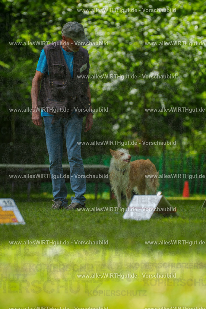 @allesWIRTHgut_Tierfotografie - www.allesWIRTHgut.de - 7R505589 | Professionelle Tierfotografie in Mönchengladbach von Daniel Wirth (allesWIRTHgut). Liebevolle & natürliche Bilder von Hunden & Katzen für unvergessliche Erinnerungen.