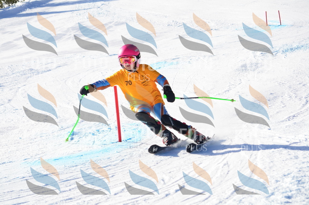 C5881 | holidayphoto