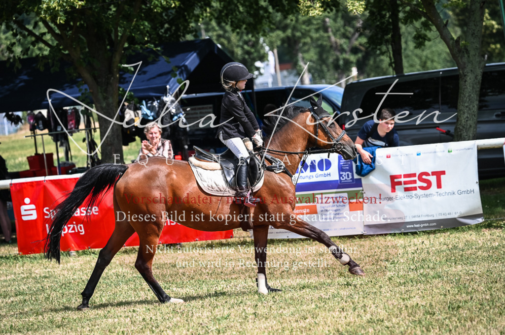 DSC_8533 | Pferde- und Turnierfotografie in Westsachsen. Pferdeportraits, Auftragszeichnungen und intuitive Kunst.