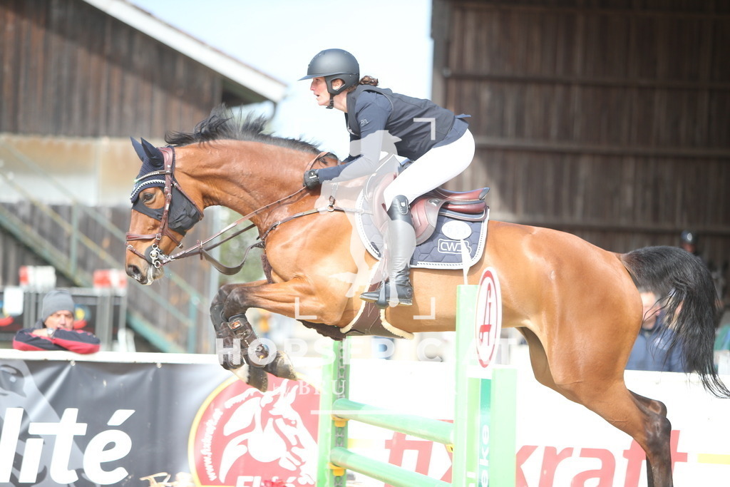 PP013786 | Willkommen bei Brunnmayr - Design & Fotografie – Ihrem Spezialisten für Reitturniere und Pferdeveranstaltungen in Oberösterreich, Salzburg und Bayern! Seit über 17 Jahren sind wir leidenschaftlich dabei.