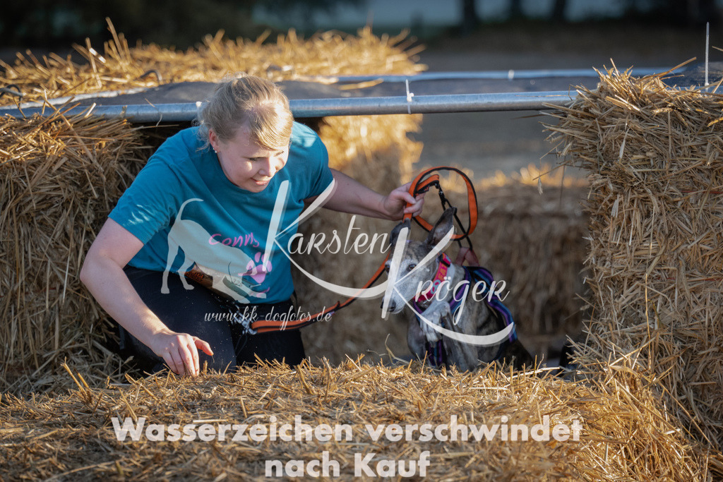 0913_ZZ92063 | kk-dogfotos