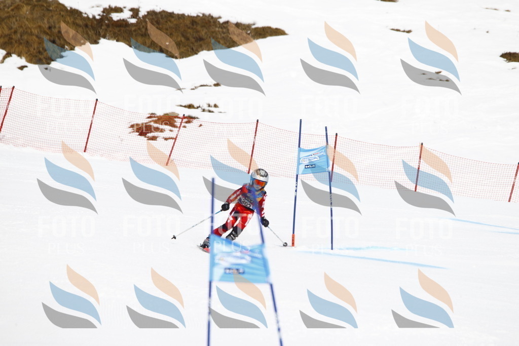 _U3G5243 | holidayphoto