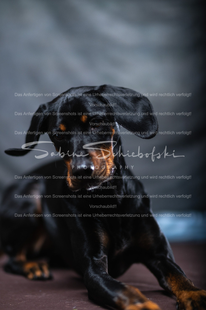 DSCF4414 | People- und Tierfotografie, Imageaufnahmen, Veranstaltungsfotografie und Wandbilder aus der Natur ★ Made in Germany ✔️ Druck + Downloads ✔️ Naturfotografie in Top Qualität ★ schneller Versand, weltweite Lieferung! - Realisiert mit Pictrs.com