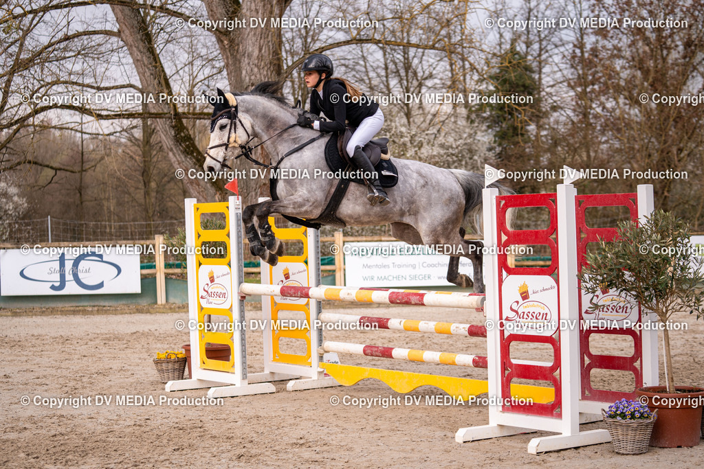 Kranichstein Tag 2-1250 | dv-media-shop - Realisiert mit Pictrs.com