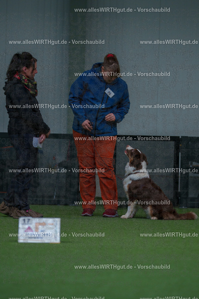 7R502939 | Professionelle Tierfotografie in Mönchengladbach von Daniel Wirth (allesWIRTHgut). Liebevolle & natürliche Bilder von Hunden & Katzen für unvergessliche Erinnerungen.