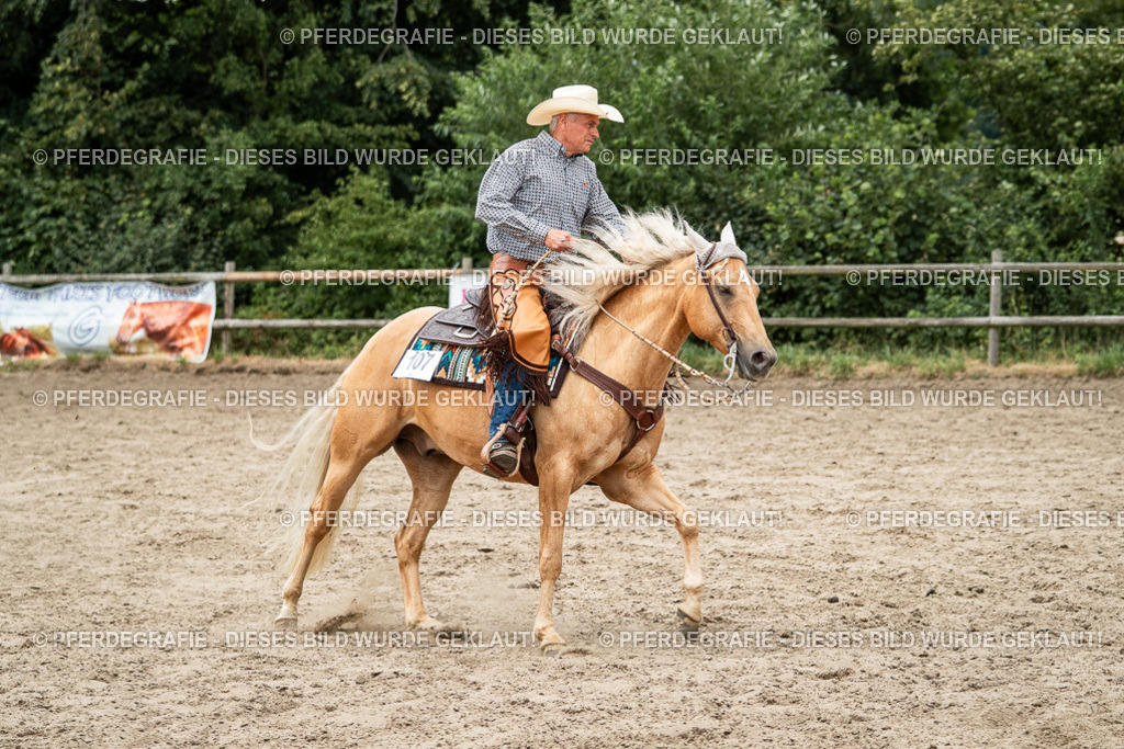 DSC02903 | Pferdegrafie