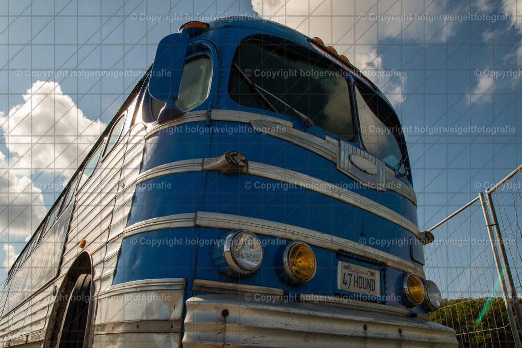 20250906110423D75_6191 | Bitte beachten!!!
Alle Fotos dieser Galerie sind nur grundbearbeitet. Im Falle eines Verkaufs, werde ich die Fotots noch mit dem nötigen Feinschliff versehen. - Realisiert mit Pictrs.com