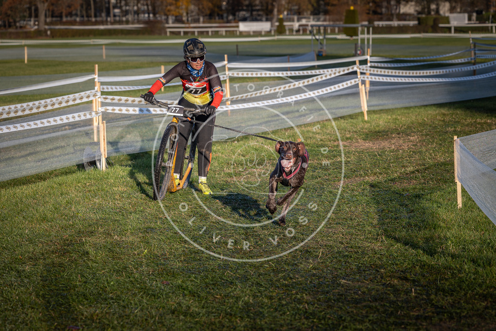 CaniXpix_0L8A3635 | Hundefotografie, Tierfotograf, Pfotenfotografie, Fotoshooting Hund, Hunde Portrait, Hundesport, Hundeportraits, Heideshooting, Hunde, Sportfotograf, Hundefotograf, Turnierhundsport, THS,  - Realisiert mit Pictrs.com