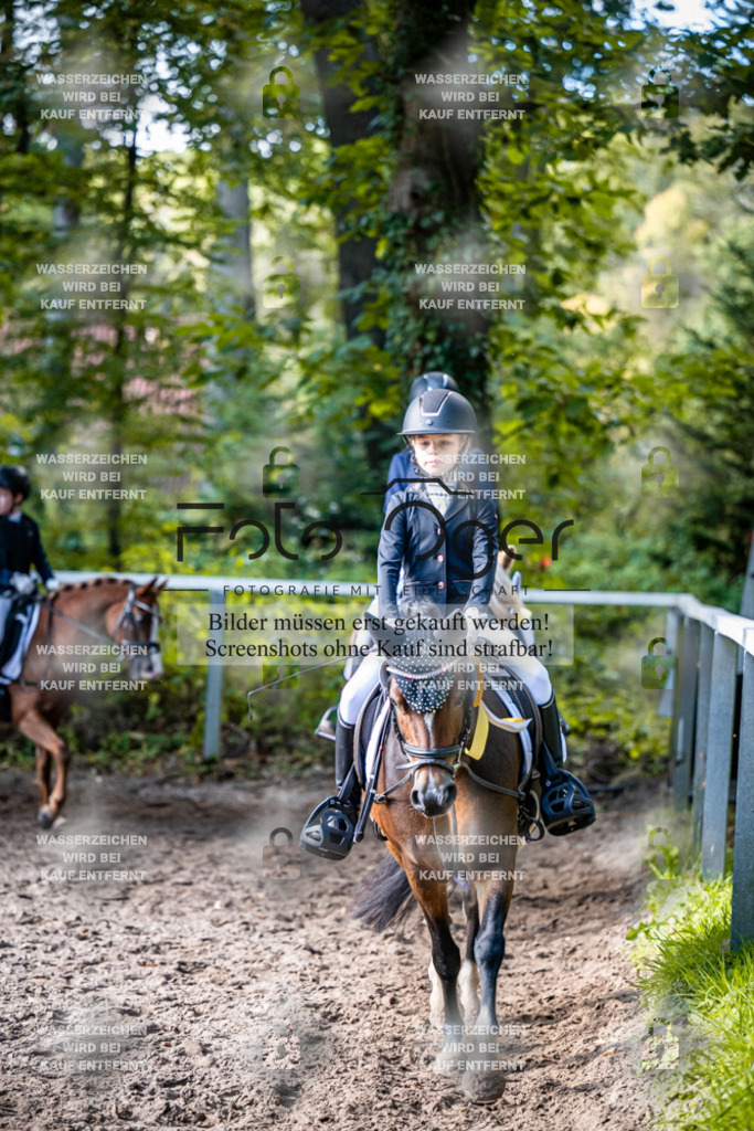 2026-10-Helle-20-4-0068 | Entdecke hochwertige Reitturnierfotos von Foto Oger. Professionell, emotional und authentisch – jetzt Lieblingsmomente im Shop bestellen.Deutschlandweite Turnierfotografie. - Realisiert mit Pictrs.com