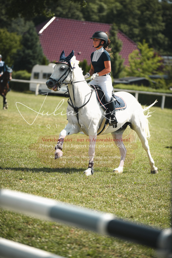 DSC_6857 | Pferde- und Turnierfotografie in Westsachsen. Pferdeportraits, Auftragszeichnungen und intuitive Kunst.