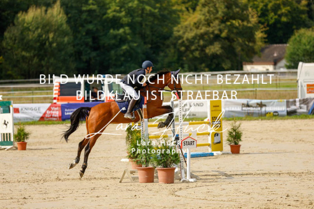 _62_9083 | larahueckfotografie