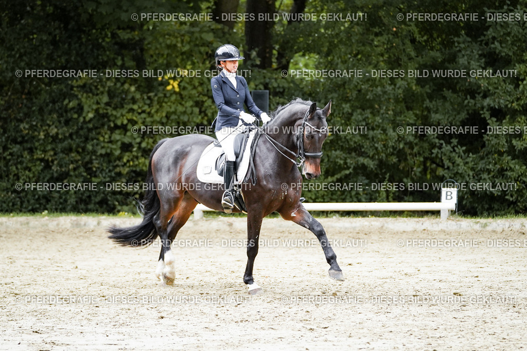 DSC00642 | Pferdegrafie