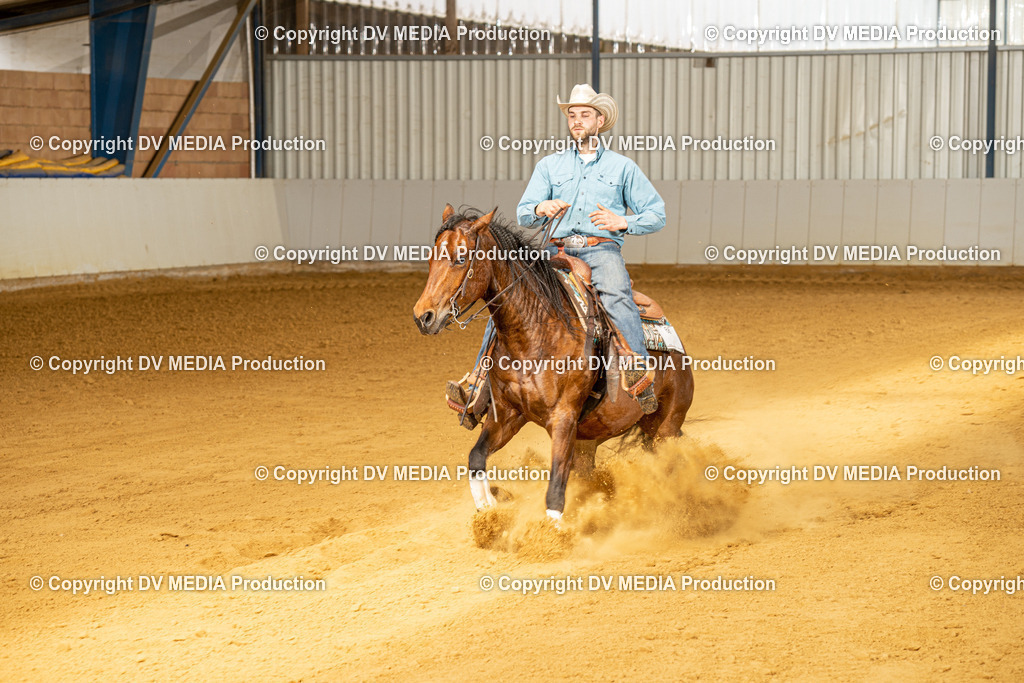 MIT01298 | dv-media-shop - Realisiert mit Pictrs.com