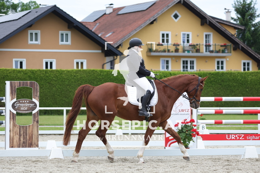 0P6A7236 | Willkommen bei Brunnmayr - Design & Fotografie – Ihrem Spezialisten für Reitturniere und Pferdeveranstaltungen in Oberösterreich, Salzburg und Bayern! Seit über 17 Jahren sind wir leidenschaftlich dabei.