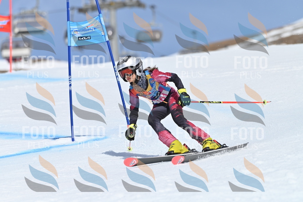 BGV_0276 | holidayphoto