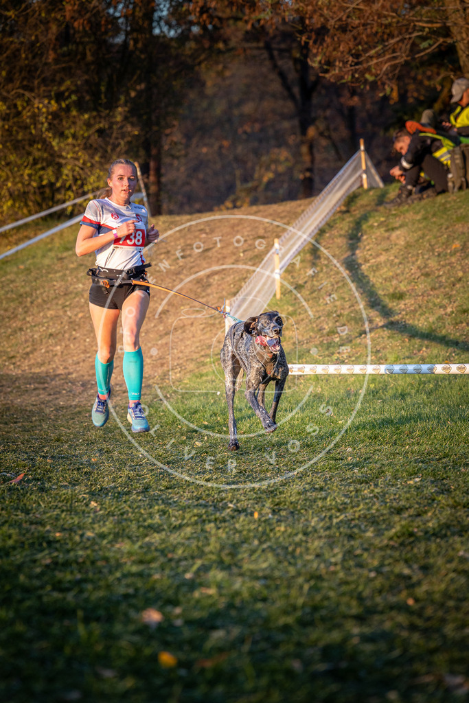 CaniXpix_0L8A1825 | Hundefotografie, Tierfotograf, Pfotenfotografie, Fotoshooting Hund, Hunde Portrait, Hundesport, Hundeportraits, Heideshooting, Hunde, Sportfotograf, Hundefotograf, Turnierhundsport, THS,  - Realisiert mit Pictrs.com