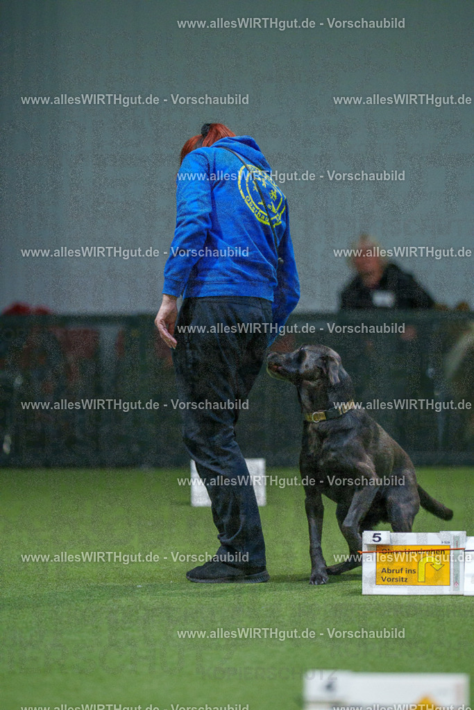 7R507010 | Professionelle Tierfotografie in Mönchengladbach von Daniel Wirth (allesWIRTHgut). Liebevolle & natürliche Bilder von Hunden & Katzen für unvergessliche Erinnerungen.