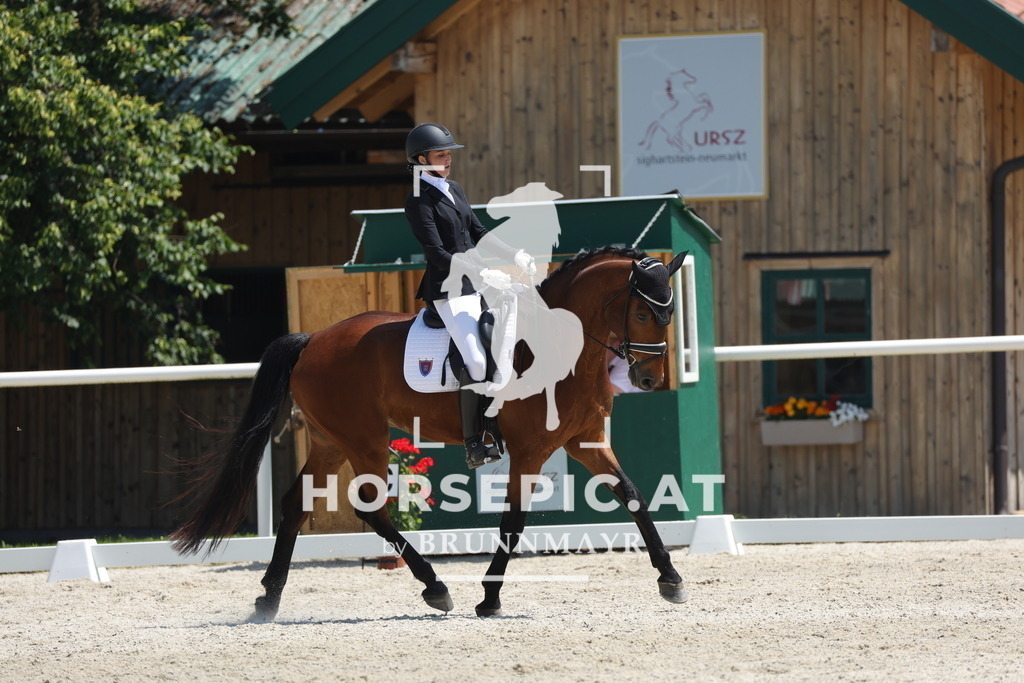 0P6A1612 | Willkommen bei Brunnmayr - Design & Fotografie – Ihrem Spezialisten für Reitturniere und Pferdeveranstaltungen in Oberösterreich, Salzburg und Bayern! Seit über 17 Jahren sind wir leidenschaftlich dabei.