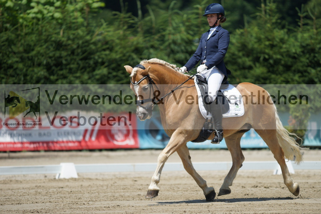DSC03482 | equestrian-live-com