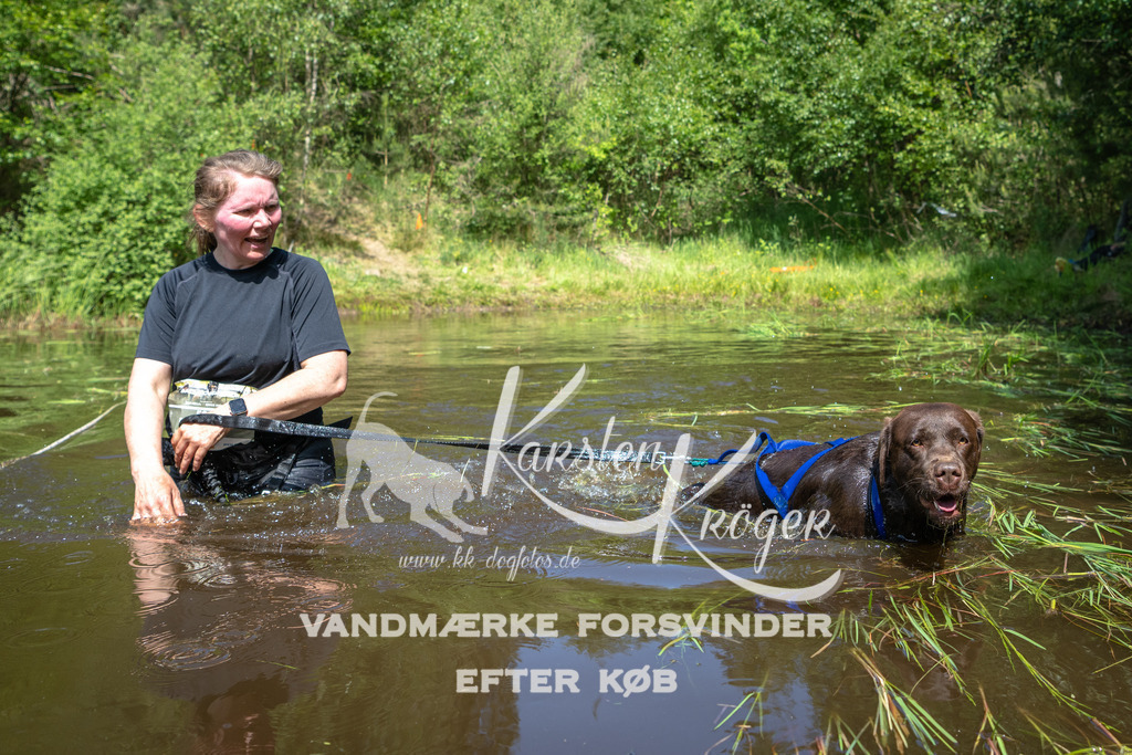 1143DKK990971 | kk-dogfotos