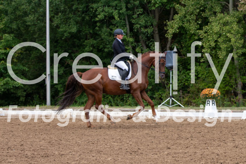 IMG_3796 | Creatify Fotografie