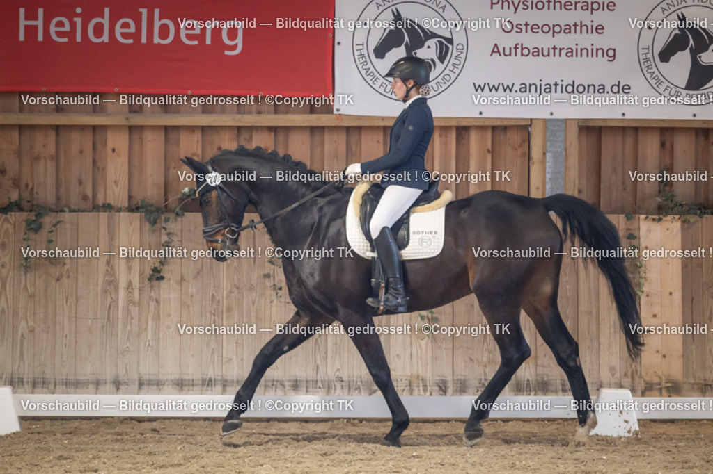 _D5A2407 | Emotionale Pferde- & People-Fotografie rund um Heidelberg, Leimen & Umgebung. Natürliche Fotos von Pferd, Mensch & Familie. Jetzt Termin sichern!