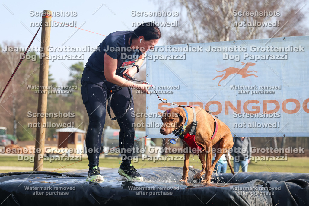 Dog Paparazzi - Strongdog North Mrz26-1546 | Dog Paparazzi Jeanette Grottendiek Fotografie & Videografie - Realisiert mit Pictrs.com