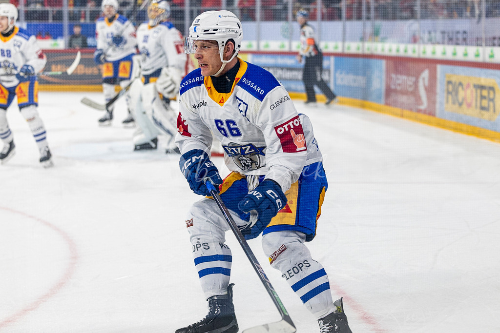 EHCB vs EVZ 20260227_WB-7640 | Sportbilder, Sportfotograf, Hochzeits- und Eventfotografin, Flugshows, Portraits und Tiershooting, Aviation, Downhill, Nationalleague, Swissleague, International
