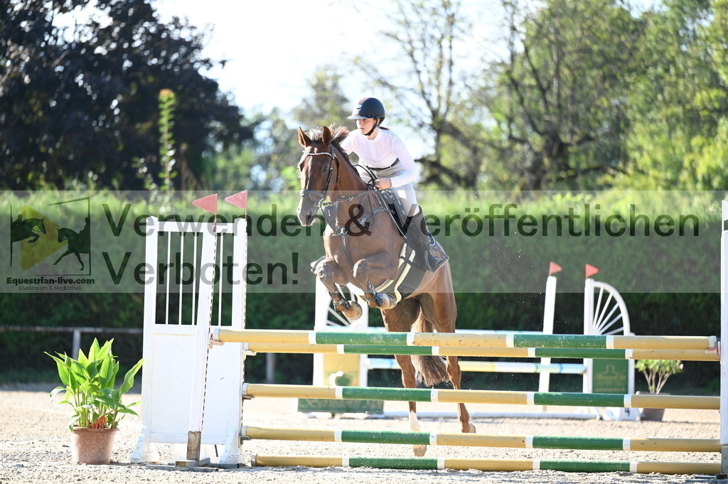 DSC_8819 | equestrian-live-com