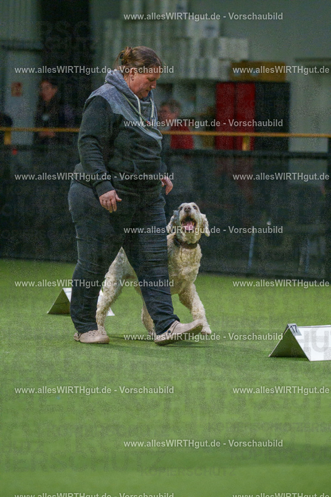 7R507549 | Professionelle Tierfotografie in Mönchengladbach von Daniel Wirth (allesWIRTHgut). Liebevolle & natürliche Bilder von Hunden & Katzen für unvergessliche Erinnerungen.