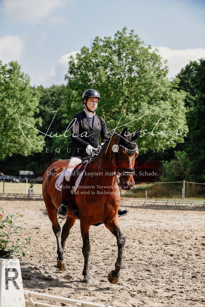 DSC_0474 | Pferde- und Turnierfotografie in Westsachsen. Pferdeportraits, Auftragszeichnungen und intuitive Kunst.