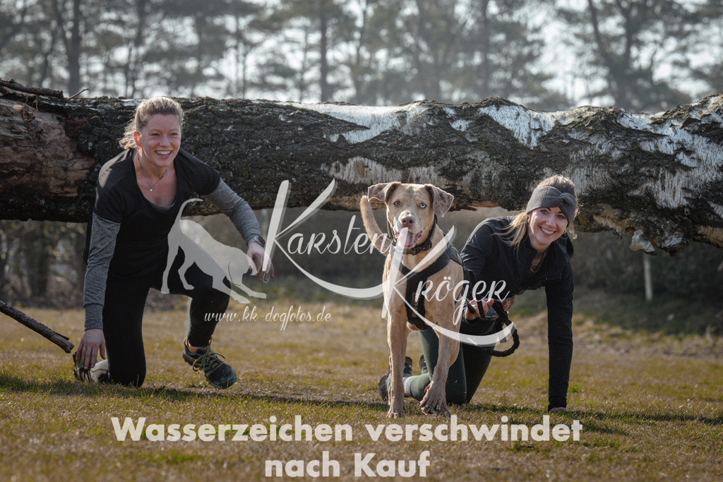 1106_ZZ94643 | kk-dogfotos