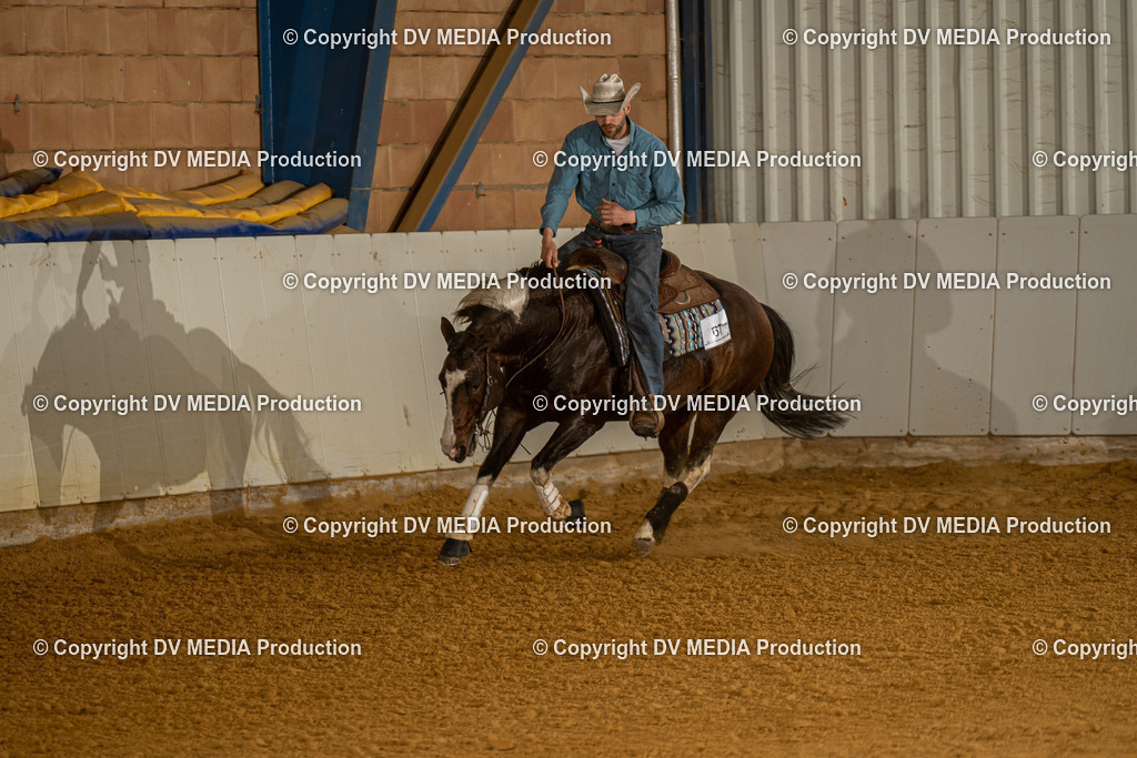 MIT01283 | dv-media-shop - Realisiert mit Pictrs.com