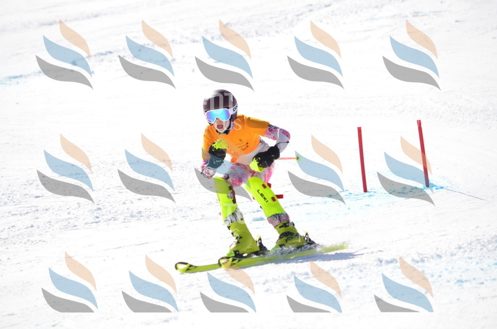 C9573 | holidayphoto