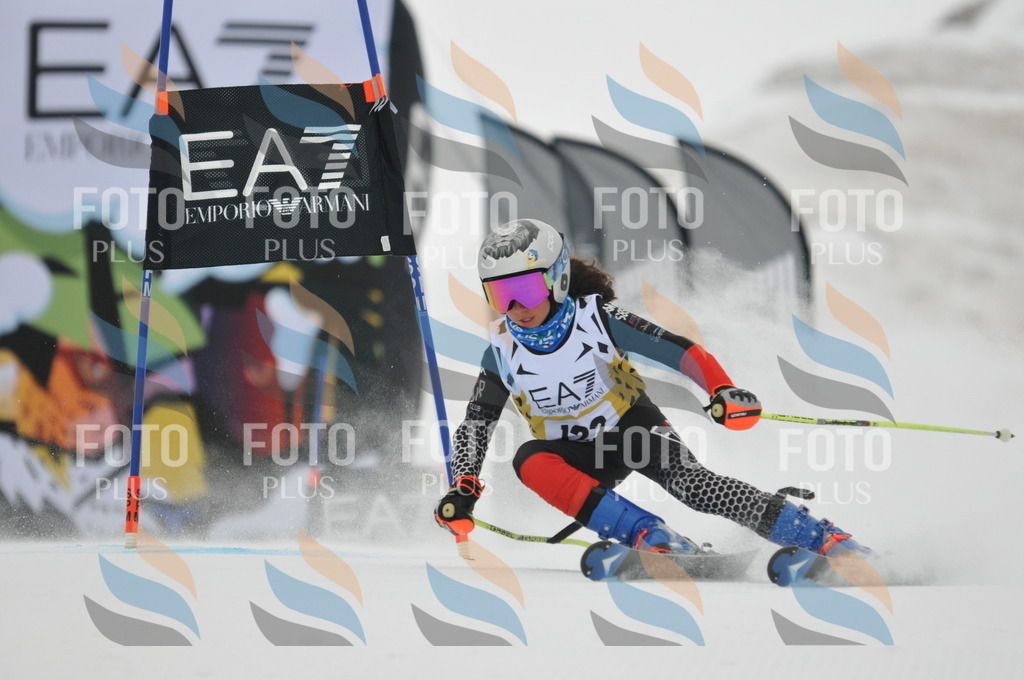 DSC_8223 | holidayphoto