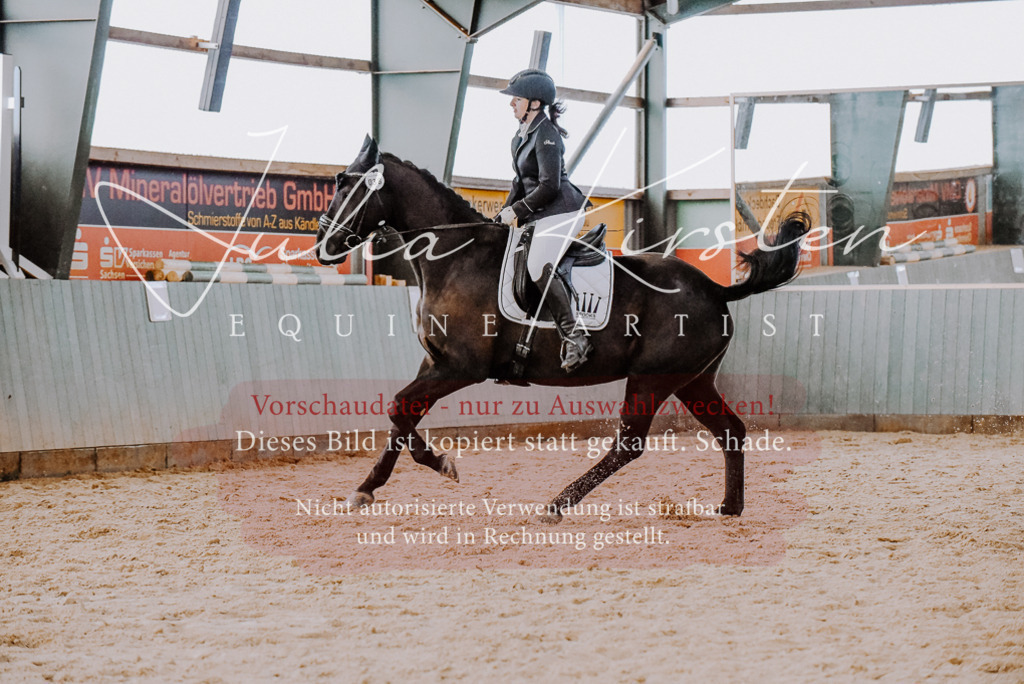 DSC_7649 | Pferde- und Turnierfotografie in Westsachsen. Pferdeportraits, Auftragszeichnungen und intuitive Kunst.