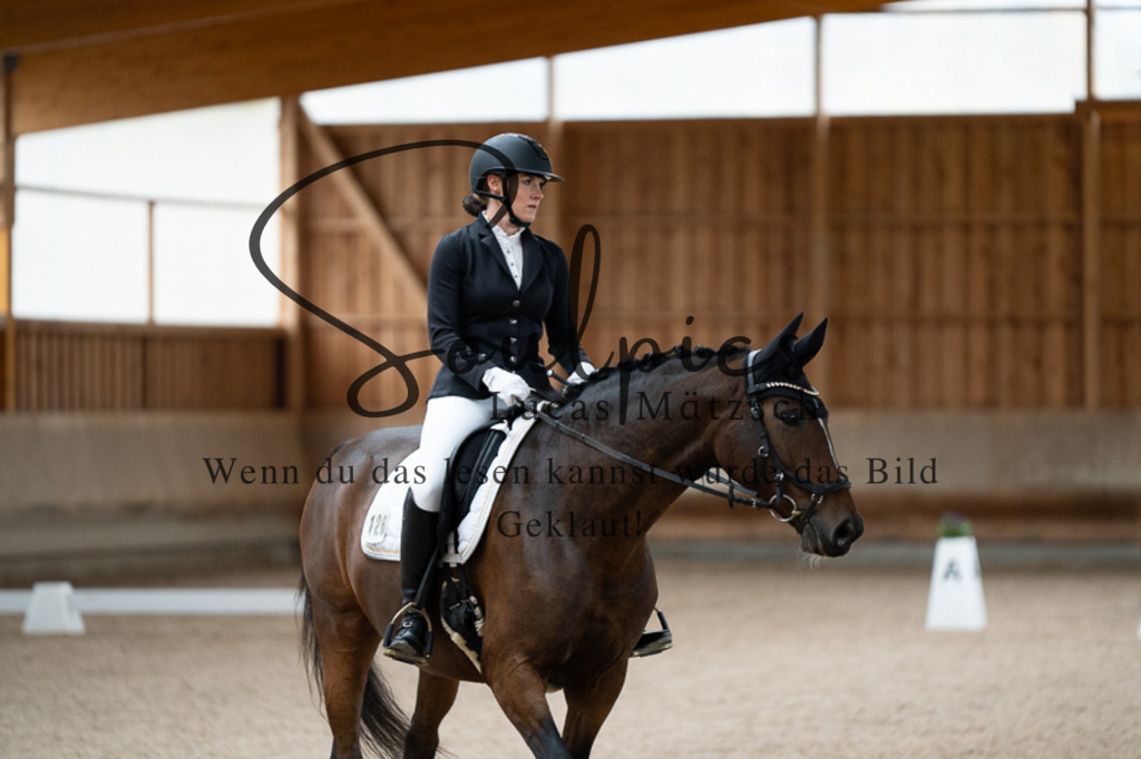 A7V02300 | Pferdefotograf