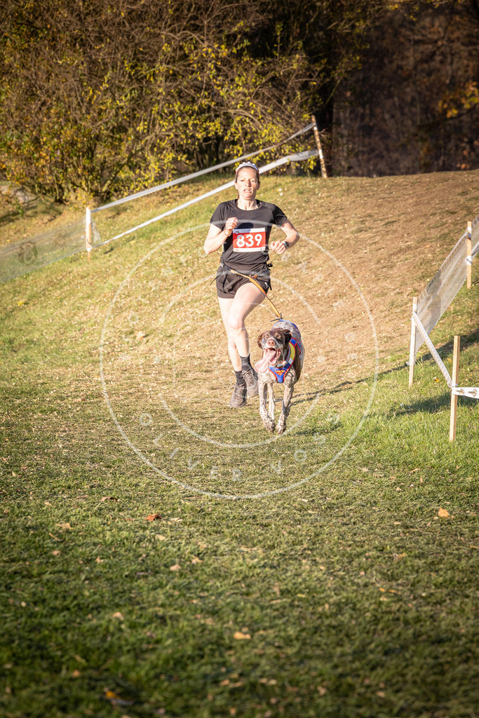CaniXpix_0L8A0683 | Hundefotografie, Tierfotograf, Pfotenfotografie, Fotoshooting Hund, Hunde Portrait, Hundesport, Hundeportraits, Heideshooting, Hunde, Sportfotograf, Hundefotograf, Turnierhundsport, THS,  - Realisiert mit Pictrs.com