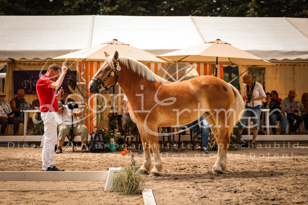 3.Sa00046 | Leoni Ertmer Photography - Realisiert mit Pictrs.com