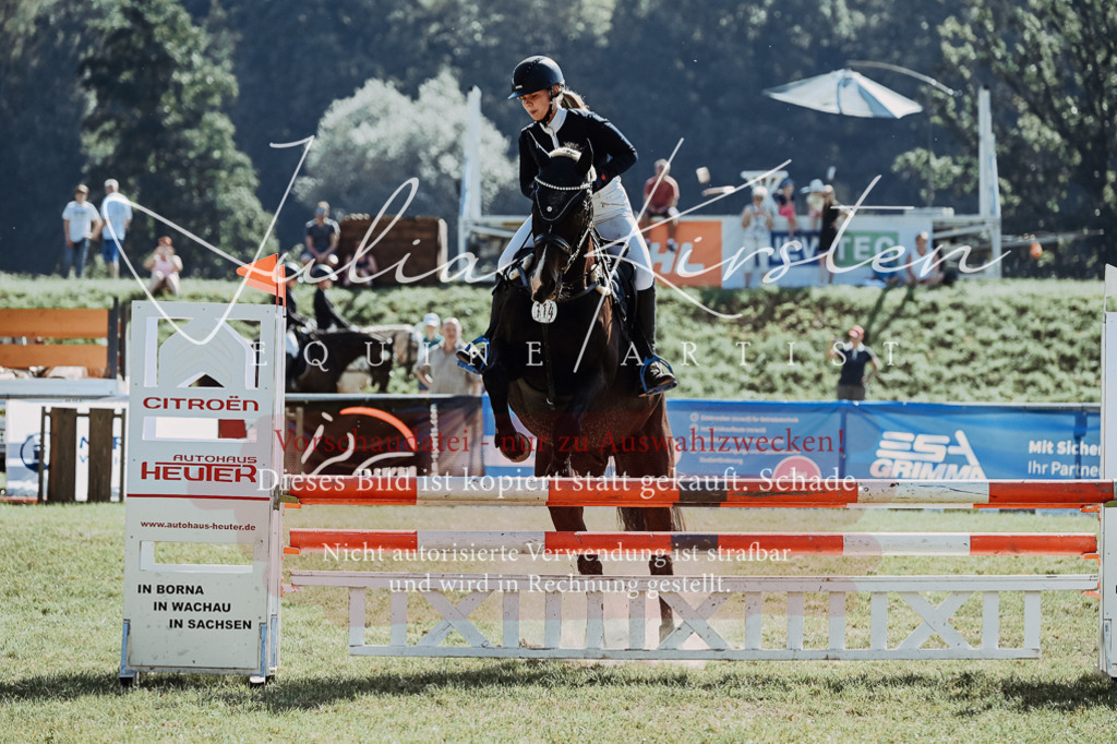DSC_5762 | Pferde- und Turnierfotografie in Westsachsen. Pferdeportraits, Auftragszeichnungen und intuitive Kunst.